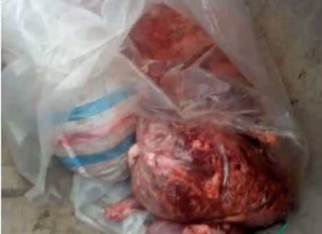 کشف 300کیلوگرم گوشت خوک در سوادکوه