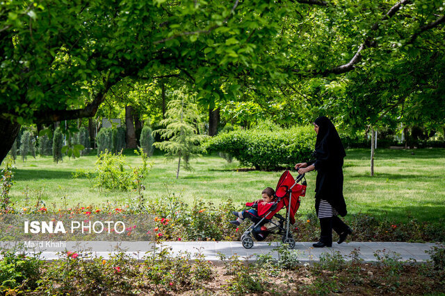 کمیسیون ماده 5، مانع تغییر کاربری فضای سبز رشت شود