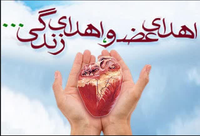 اهدای عضو جوان 30 ساله نکائی و جان بخشیدن به چند بیمار