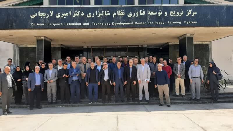 برگزاری همایش مدیریت تلفیقی تولید محصول برنج (ICM) در محمودآباد