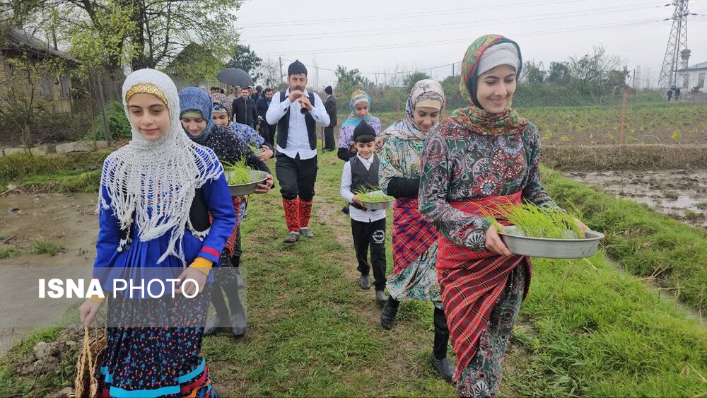 زمین‌های کشاورزی گیلان حفظ شود + تصاویر