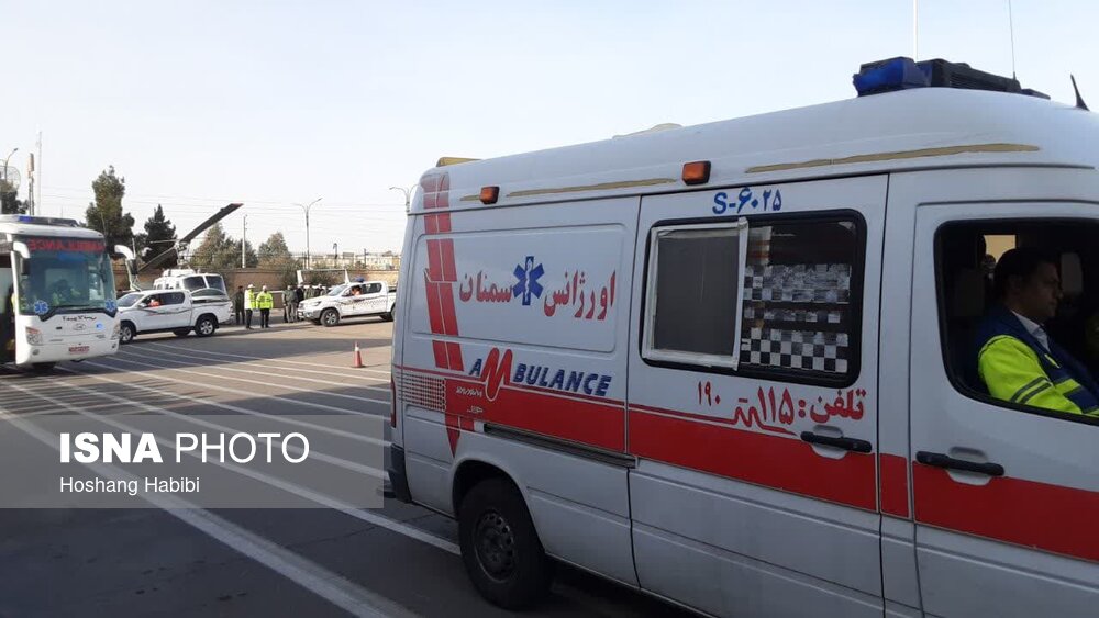 نوروز امسال دو نوزاد عجول گلستانی در آمبولانس متولد شدند