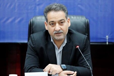 در وصول مالیات به دنبال فشار بر بدنه اقتصادی کشور نیستیم