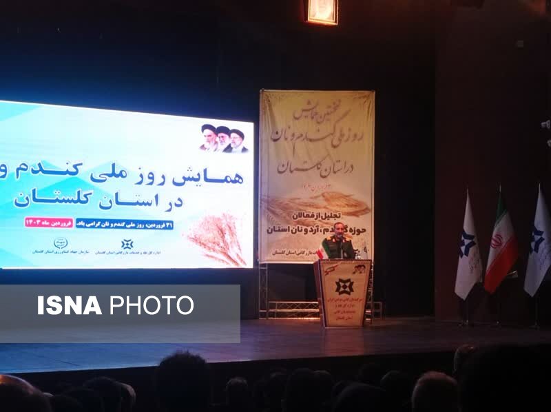 افزایش 3 برابری عملکرد گندم با زهکشی اراضی کم‌بازده گلستان توسط قرارگاه خاتم