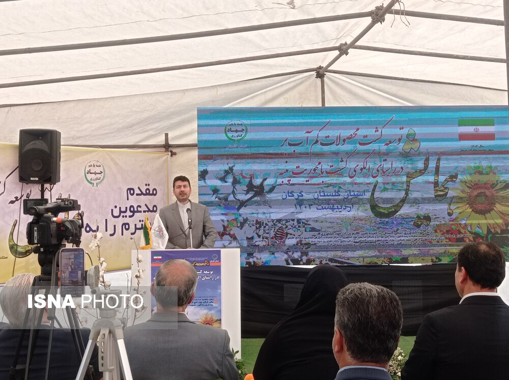 88 درصد الگوی کشت در گلستان محقق شد