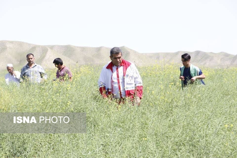 جست‌وجوها برای دیدار «یسنا دیدار» به روز چهارم کشیده شد