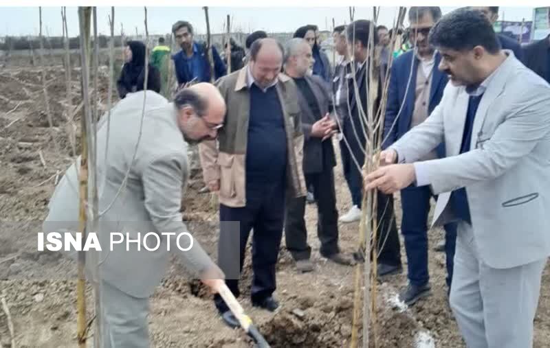 کاشت 118 هزار اصله نهال توسط شهرداری‌های گلستان