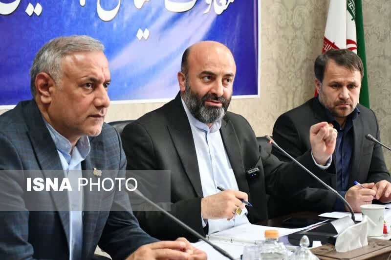 طرح همسان گزینی معرفی و تبیین شود