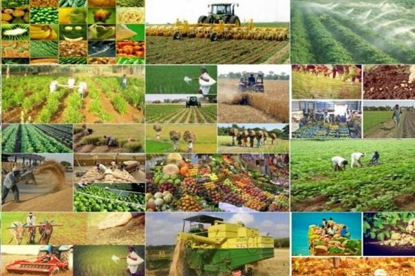 دولت سیزدهم برای کشاورزی گلستان چه کرد؟
