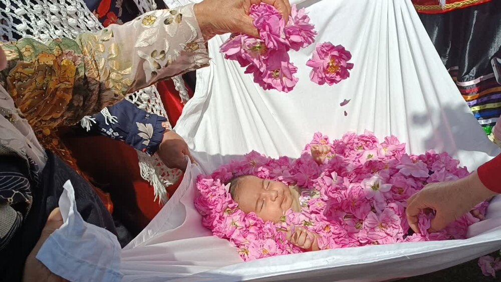 ثبت ملی جشنواره گلاب گیری «شاهناجر»