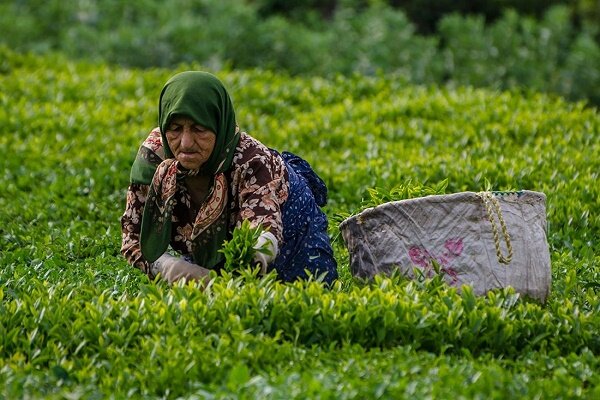راه‌آهن رشت - کاسپین فردا افتتاح می‌شود