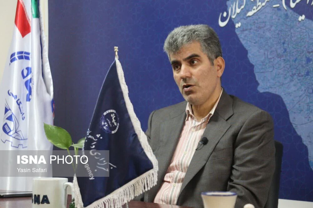 رتبه اول گیلان در تولید بلوبری/ صدور اخطار برای 1000 هکتار از شالیزارها