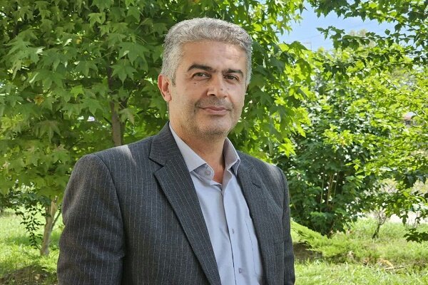 اختصاص ارز ترجیحی واردات برنج،به افزایش تولید موجب خودکفایی می‌شود