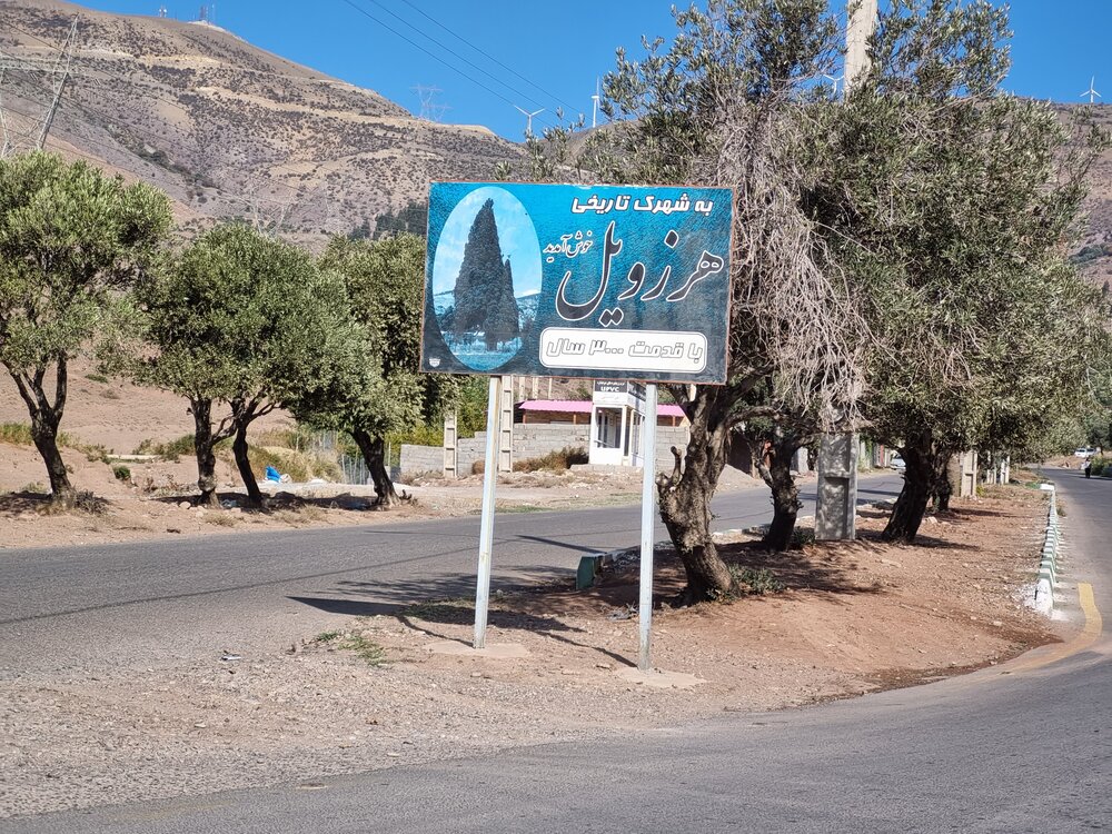 سرو 3000 ساله هرزویل، اثری ملی و سمبل آزادگی گیلان