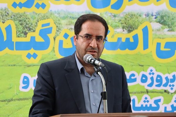 رفع تداخل 80 درصدی در اراضی کشاورزی کشور