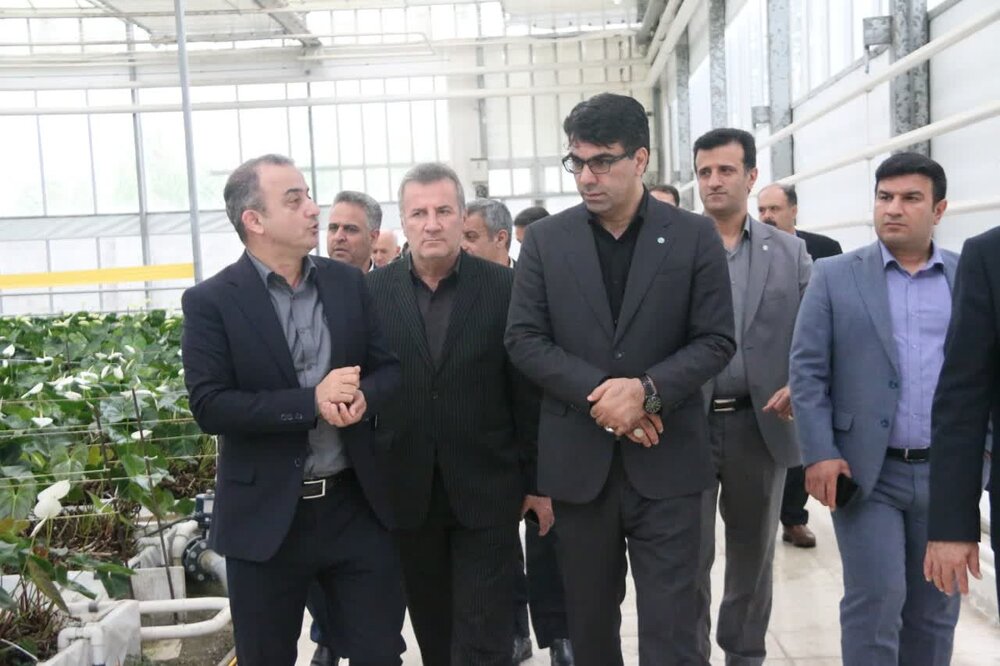 اختصاص 3 همت تسهیلات حمایتی بانک توسعه تعاون برای بخش صنعت و کشاورزی مازندران