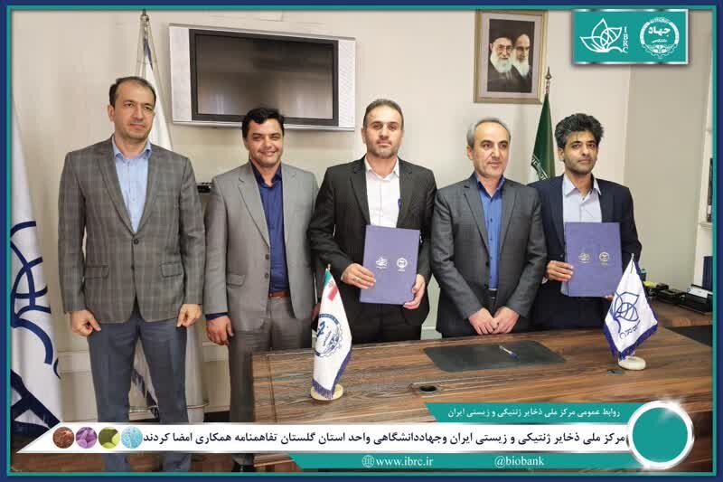«اسب ترکمن»نمونه موفق همکاری مرکز ملی ذخایر ژنتیکی ایران با جهاد دانشگاهی گلستان