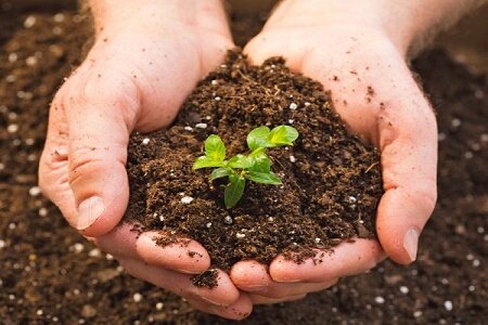 آغاز خرید کود کشاورزی یارانه ای از 202 کارگزاری رسمی