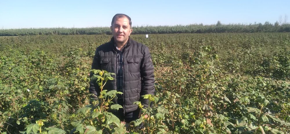 نام پژوهشگر و محقق گلستانی در جدیدترین «فهرست دو درصد دانشمندان برتر دنیا» قرار گرفت
