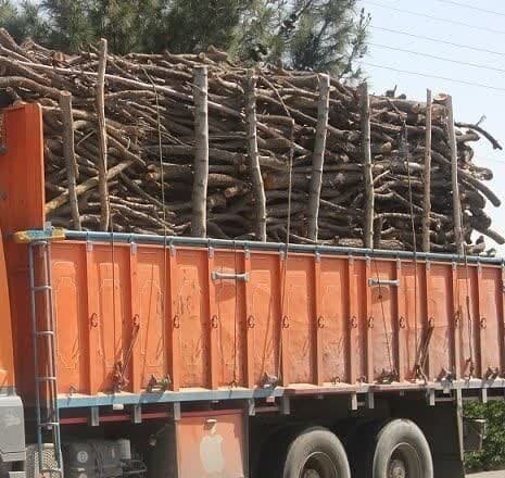 توقف کامیون حامل 25 تن چوب قاچاق جنگلی در لاهیجان