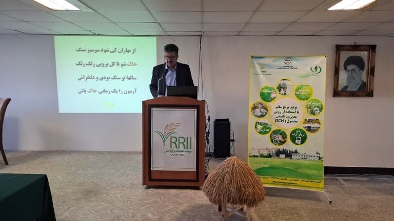 ارائه بیش از 100 طرح تحقیقاتی متناسب با جنس خاک و ارقام کشت برنج