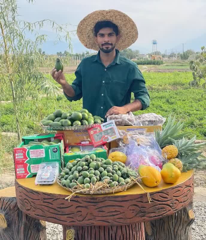 کارآفرینی  دانشجوی خلاق گنبدی با پرورش میوه‌های استوایی