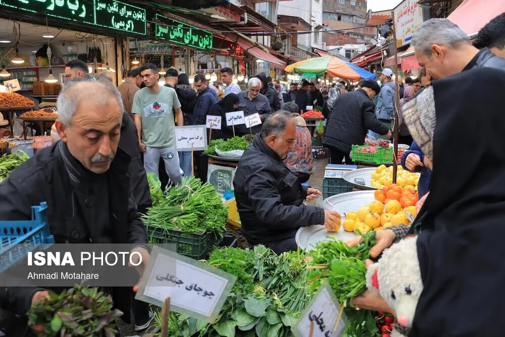 سهم 73 درصدی میانسالان در جمعیت گیلان / رشد ولادت فرزندان سوم و چهارم