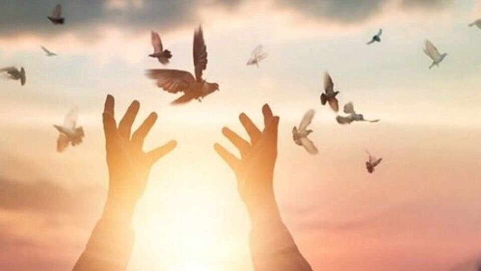 آزادی 22 مددجوی جرائم غیرعمد از زندان در ایام دهه فجر