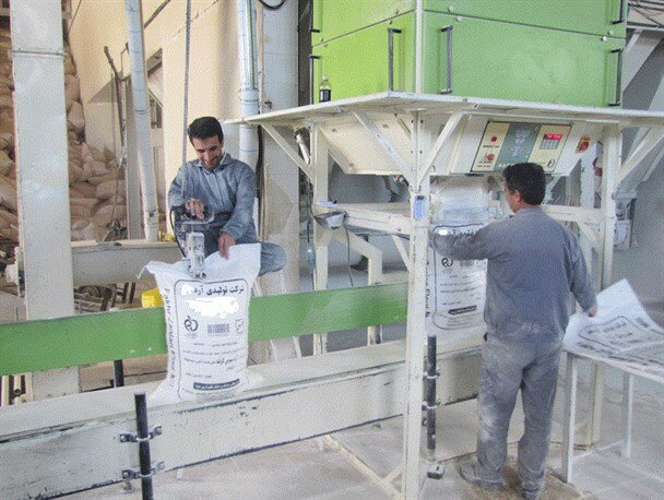 تولید ماهانه حدود 100 هزار تن آرد از 21 کارخانه در مازندران