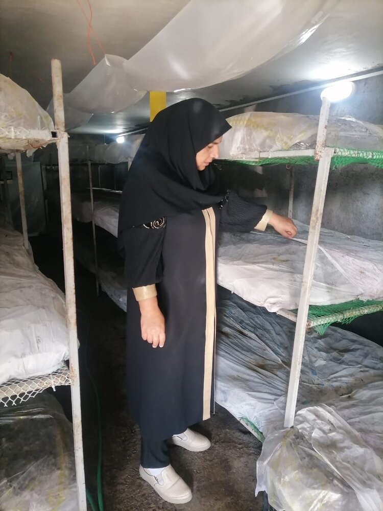 از مددجویی تا کارآفرینی/چتر حمایت بانوی گلستانی برای 100 زن سرپرست خانوار
