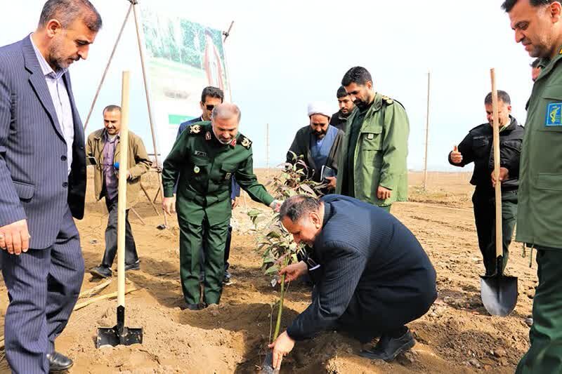 کاشت یک میلیون نهال توسط بسیج مازندران تا اردیبهشت 1404