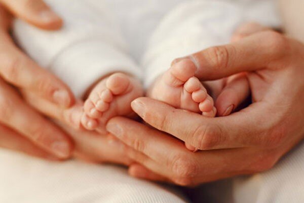 نشاندار شدن 3281 زوج نابارور در گیلان