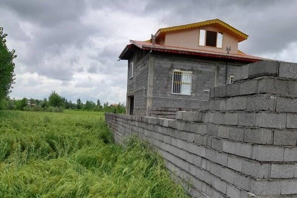 شناسایی 265 مورد تغییر کاربری اراضی کشاورزی گیلان