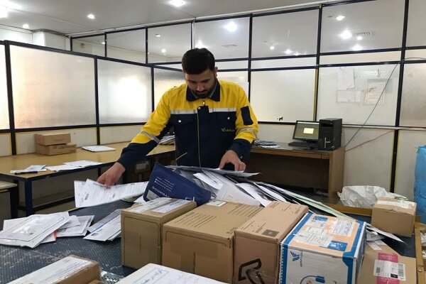افزایش تلفات فک‌ها در مازندران نگران‌کننده است