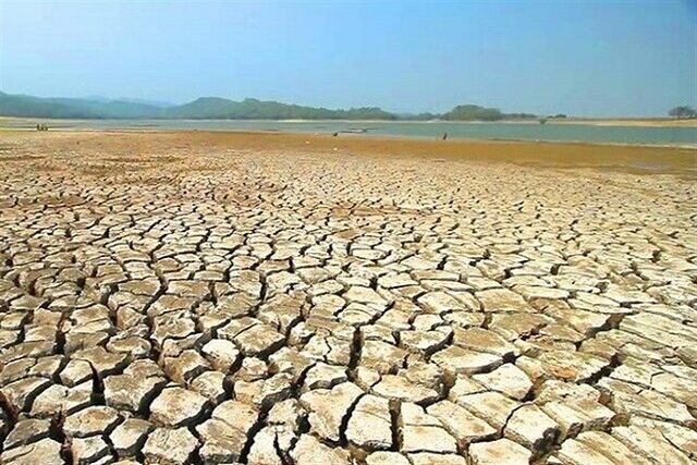 هشدار جدی مسئولان به شالیکاران گلستانی