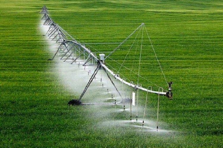 صرفه‌جویی 75 درصدی آب با توسعه آبیاری نوین در گلستان