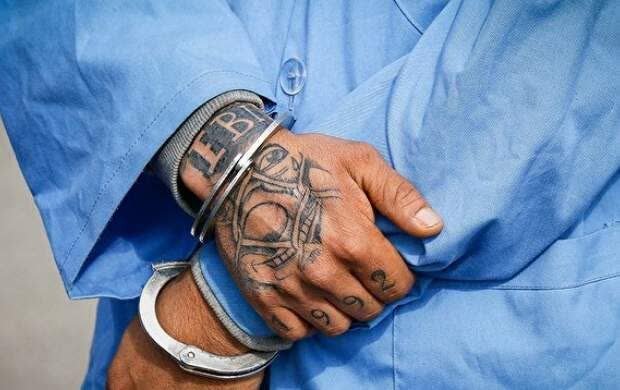 شرور و عامل درگیری با ماموران منابع طبیعی با ضرب گلوله پلیس زمین‌گیر شد