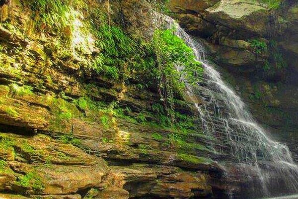 آبشار ساسنگ؛ مقصدی بکر در دل جنگل‌های هیرکانی