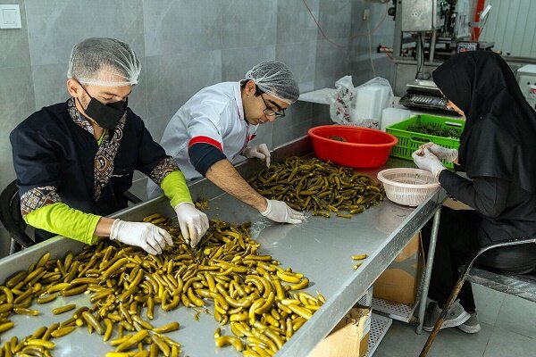 ایجاد مشاغل خانگی مبتنی بر مزیت‌های هر شهرستان در گیلان/ پرداخت تسهیلات 135 میلیاردی اشتغال