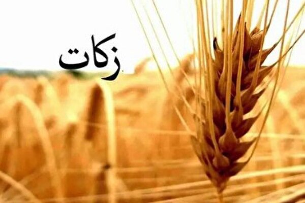 کشاورزان گلستان پیشتاز پرداخت زکات؛ امسال 200 میلیارد تومان در راه است