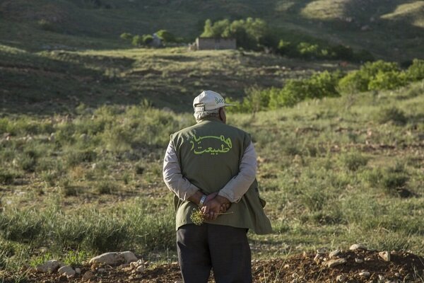 گیلان بالغ بر 15 هزار «همیار طبیعت» دارد