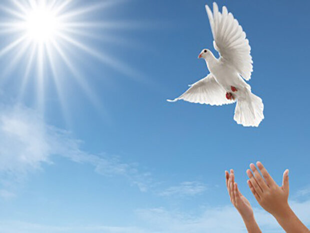 آزادی 30 محکوم مالی در گلستان