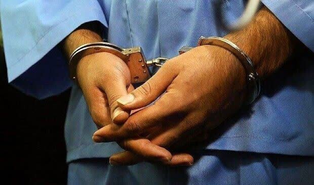عوامل تیراندازی به مأموران منابع طبیعی نور بازداشت شدند