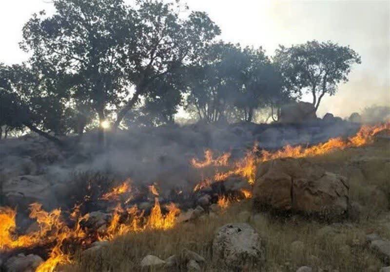 آتش بی‌احتیاطی گردشگران در جنگل‌های هیرکانی سوادکوه مهار شد