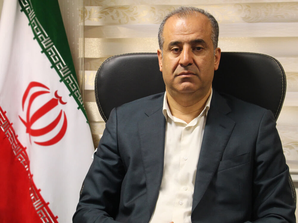 تخصیص 1100 تن گندم جوانه‌زده برای خوراک دام در مازندران