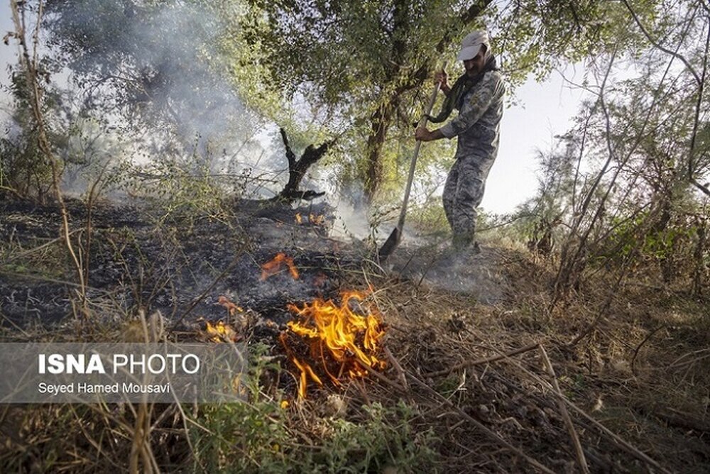 آتش‌سوزی سطحی در 20 هکتار از جنگل های گیلان در سال جاری