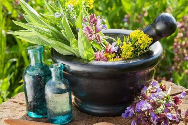راه اندازی انجمن علمی گیاهان دارویی رودسر/حرف اول را در گیاهان دارویی دنیا می زنیم