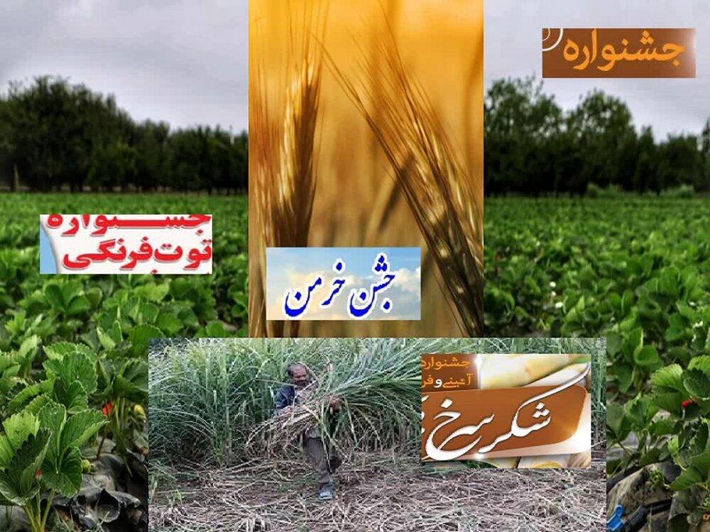 وقتی «جشنواره» به بازارچه بدل می‌شود