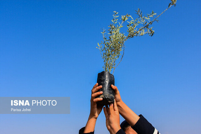 کاشت بالغ بر 1000 اصله نهال در گیلان به نیت حاج قاسم