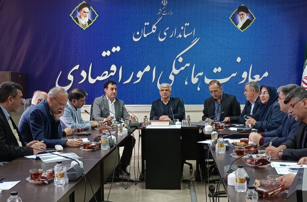 تأکید معاون اقتصادی استاندار بر افزایش سهم گلستان از تسهیلات بنیاد برکت